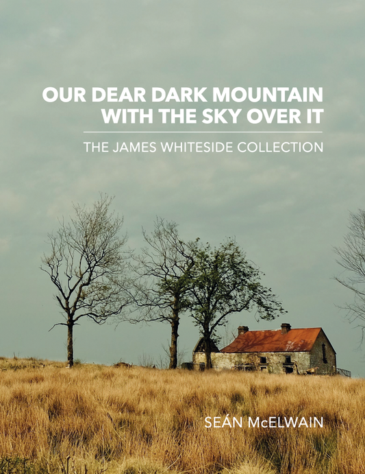 Book cover of 'Our Dear Dark Mountain with the Sky Over It' by Sean McElwain featuring a landscape with a house and trees.