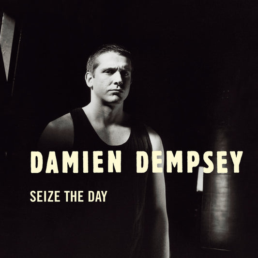 Seize The Day - Damien Dempsey